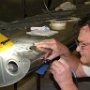 Left Wing Cutout for Light Assembly