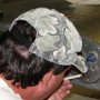 Sealing fuel end cap with tank sealant
