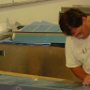 Riveting trailing edge of rudder