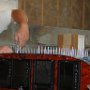 Removing clecoes from top forward fuselage skin