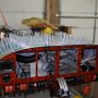 Forward top skin installed with clecoes ready for riveting