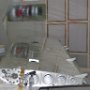 Left Wing Being Prepared to Paint