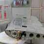 Left Wing Being Prepared to Paint