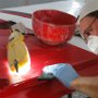 Wet Sanding Clear on Left Wing