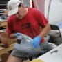 Wet Sanding Primer Left Wheel Pant