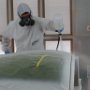 Clearcoat Being Applied On Canopy